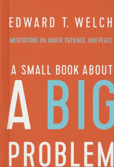 A Small Book About a Big Problem: Meditations on Anger, Patience, and Peace