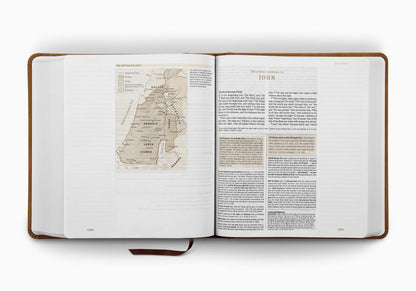 ESV SC Journaling Bible, LP (TT Nubuck Carmel)