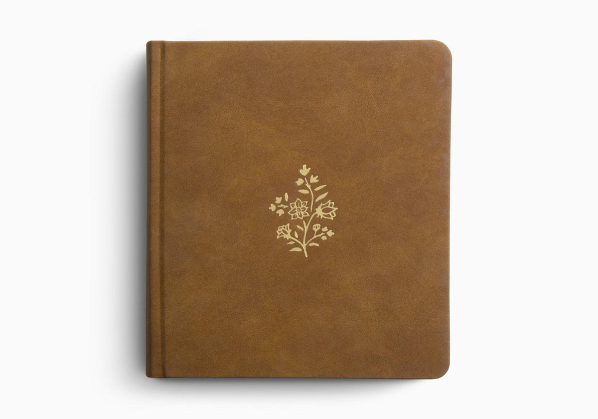 ESV SC Journaling Bible, LP (TT Nubuck Carmel)