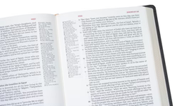 LSB Bible Inside Column Reference