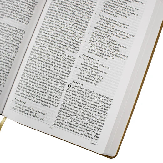 LSB Daily Reading Bible