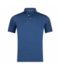 Harleston's Script Polo