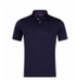 Harleston's The Ladson Polo