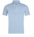 Harleston's The Herald Polo