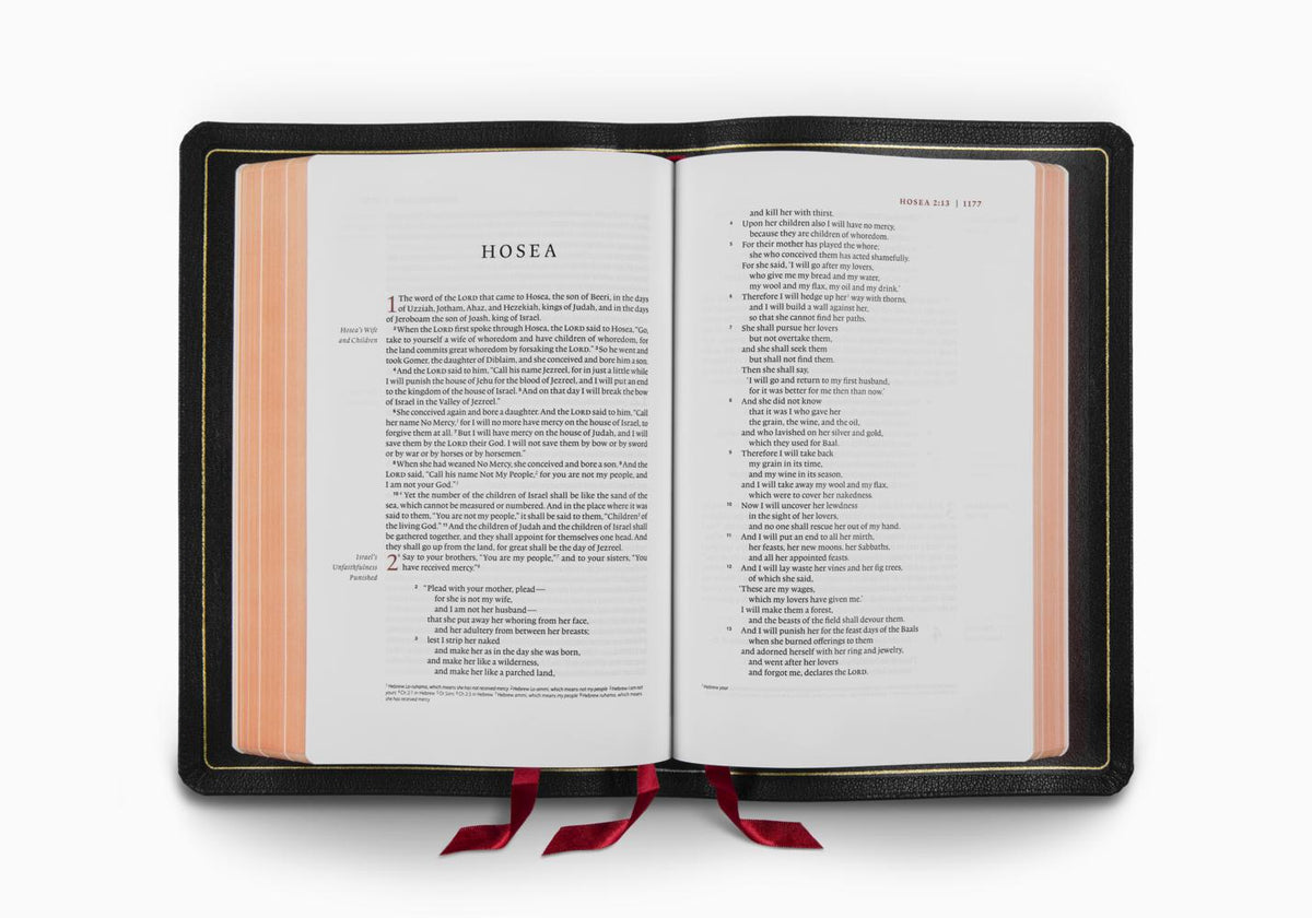 ESV Heirloom Bible Single Column (Goatskin, Black)