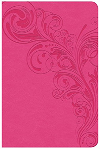 CSB Compact Ultrathin Bible, Pink LeatherTouch, Indexed