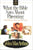 What The Bible Says About Parenting: Biblical Principle For Raising Godly Children