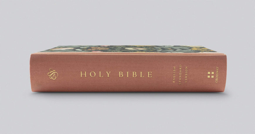 ESV Single Column Journaling Bible, Artist Series