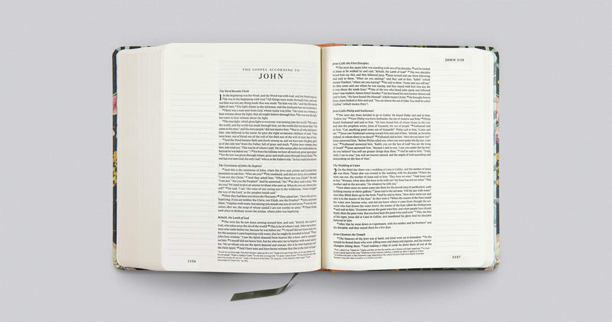 ESV Single Column Journaling Bible, Artist Series