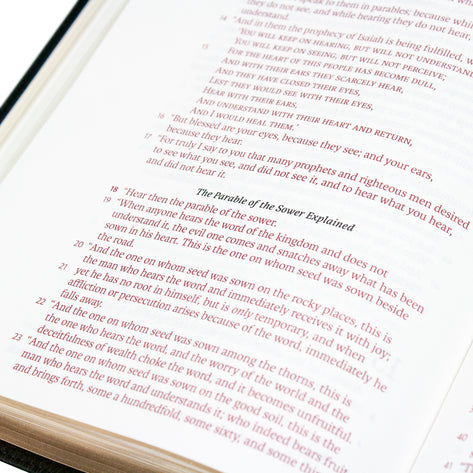 Legacy Standard Bible, Large Print Wide Margin - Paste-Down Cowhide- RED