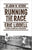 Running the Race: Eric Liddell – Olympic Champion and Missionary (Biography)